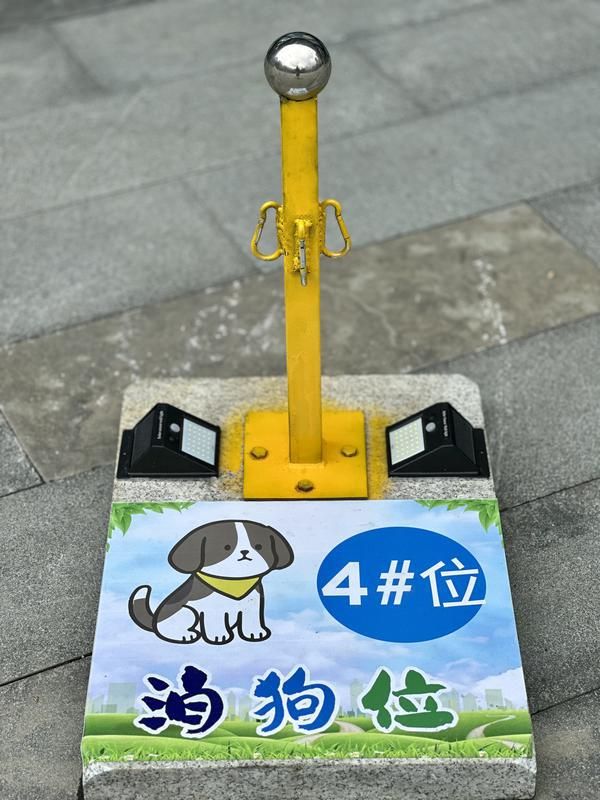 行一周上海升级版游园带来哪些“乐与痛”？澳门新葡京事关搭帐篷、带宠物……新规施(图3)