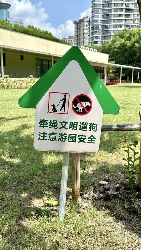 行一周上海升级版游园带来哪些“乐与痛”？澳门新葡京事关搭帐篷、带宠物……新规施(图5)