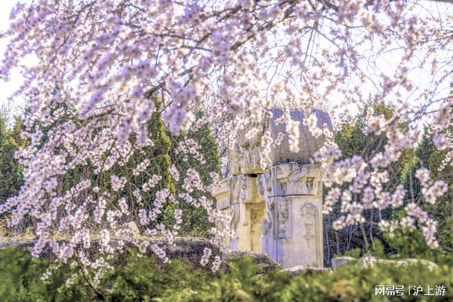 社 TOP5 揭秘口碑分 968× 合规双满分澳门新葡京app榜首换了2025北京正规旅行(图4) 社 TOP5 揭秘口碑分 968× 合规双满分澳门新葡京app榜首换了2025北京正规旅行(图4)